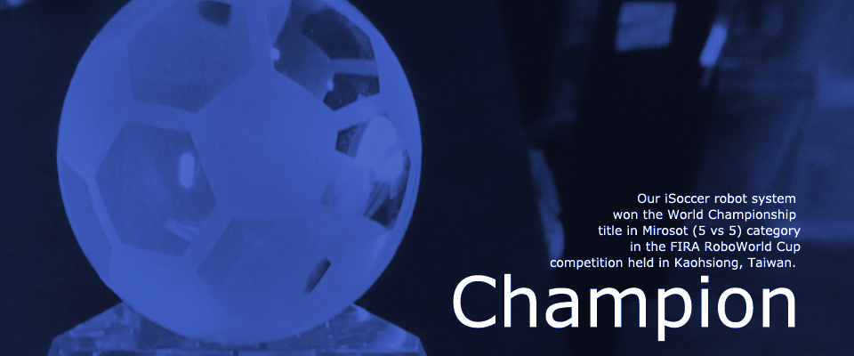 Champion Banner